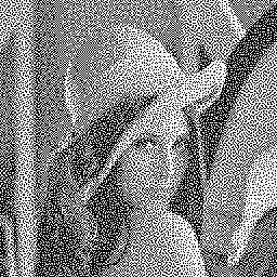 Lena dithered along a Hilbert curve
