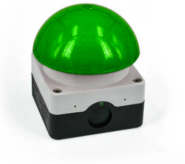 Paddenstoelknop met groene knop