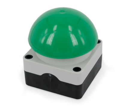 Paddenstoelknop met groene knop